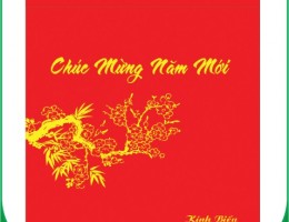 TÚI ĐỰNG QUÀ TẾT 2019