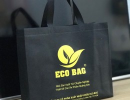 NHỮNG LÝ DO KHIẾN TÚI VẢI KHÔNG DỆT ĐƯỢC ƯA CHUỘNG HIỆN NAY